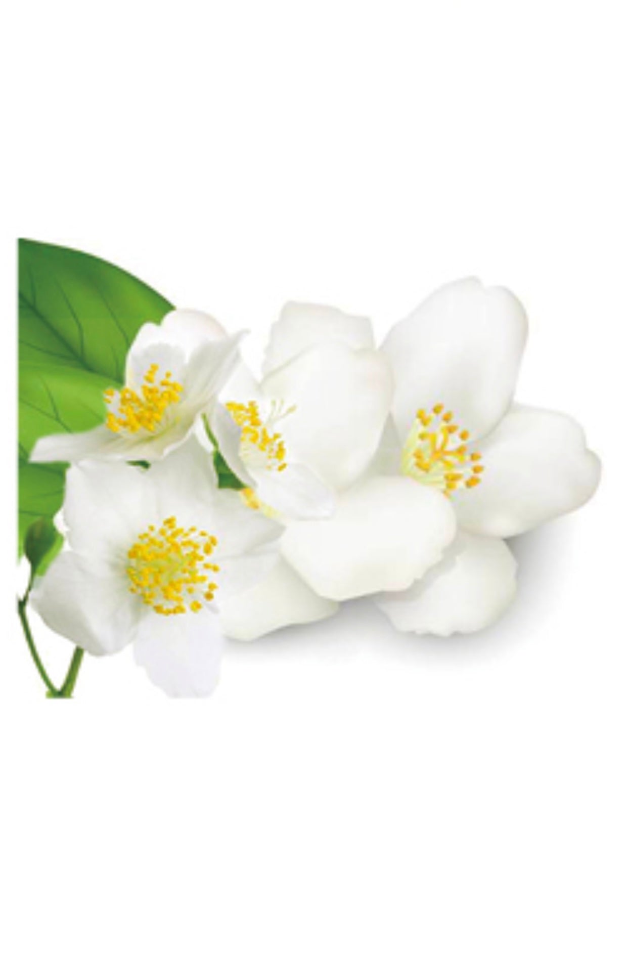 Hydrojelly Mask: Cica Complexion Care