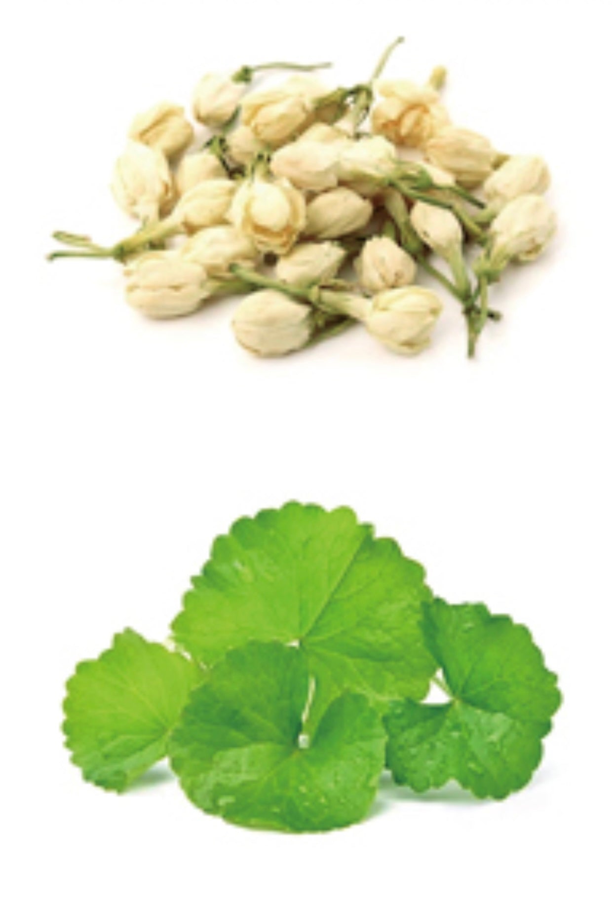 Hydrojelly Mask: Cica Complexion Care