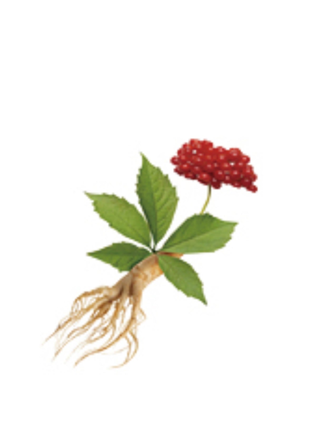 Hydrojelly Mask: Skin Warrior Ageless