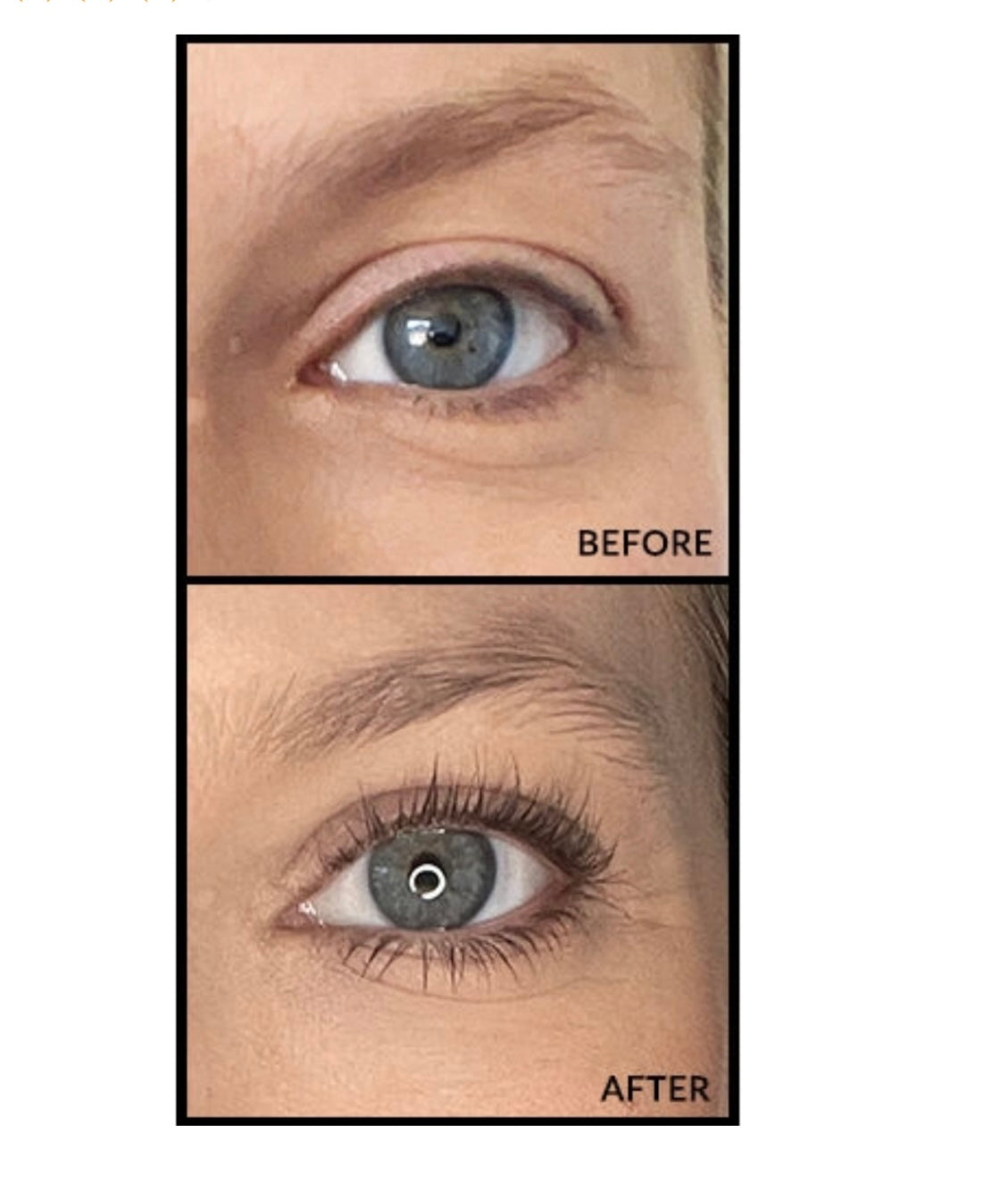 LiLash: Purified Eyelash Serum